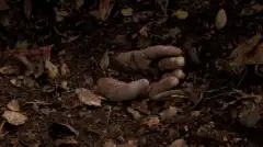 Отчаянные домохозяйки 1 сезон 11 серия